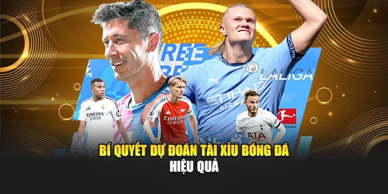 Bí quyết dự đoán tài xỉu bóng đá hiệu quả